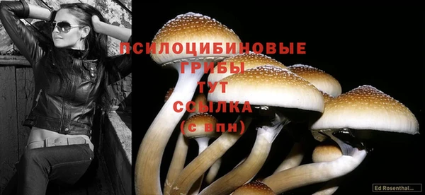 дурь Белокуриха