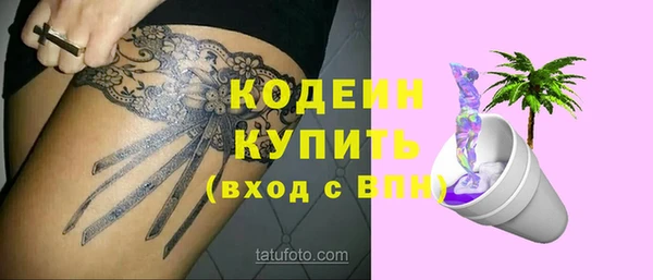 индика Баксан