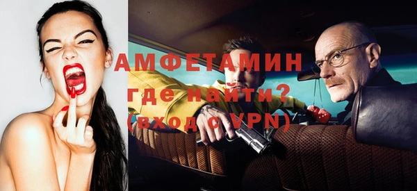 индика Баксан