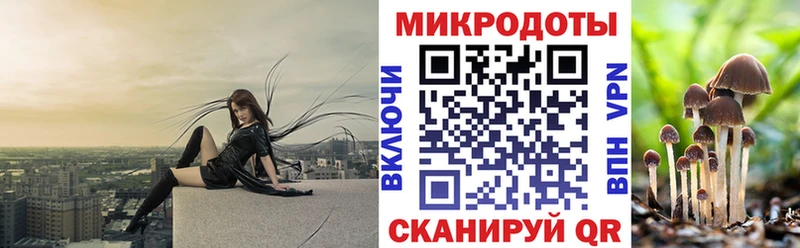 где можно купить   Нефтегорск  Псилоцибиновые грибы Psilocybe 